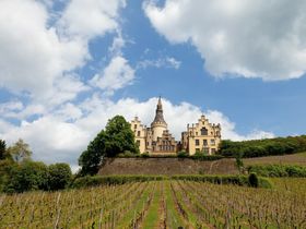 3 Tage | Kurzurlaub am Rhein 