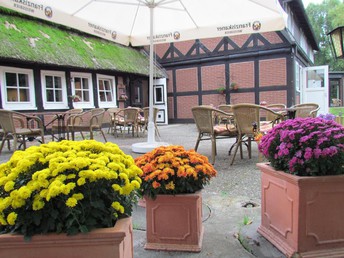Bild 8 von 21