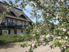Romantische Kuscheltage an der Seenplatte 