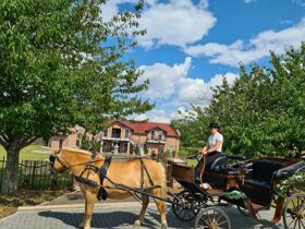 Romantische Kuscheltage an der Seenplatte 