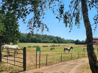 Romantische Kuscheltage an der Seenplatte 