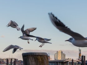 Kurzurlaub mitten im Herzen der Hansestadt Hamburg