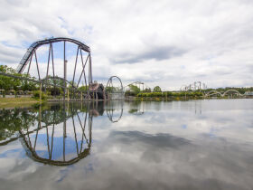 3 Tage exklusiv in die Heide nach Soltau verreisen - nur 99 EUR!