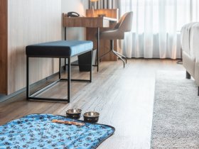 Moin aus Rostock inkl. Hafenrundfahrt