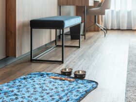 Moin aus Rostock inkl. Hafenrundfahrt