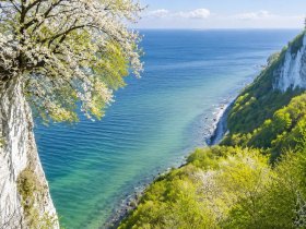 Sommer, Sonne, Sonnenschein direkt an der Ostsee