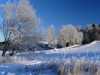 Bild 24 von 26