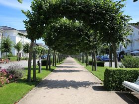 Endlich Kurzurlaub auf Rügen inkl. Abendessen