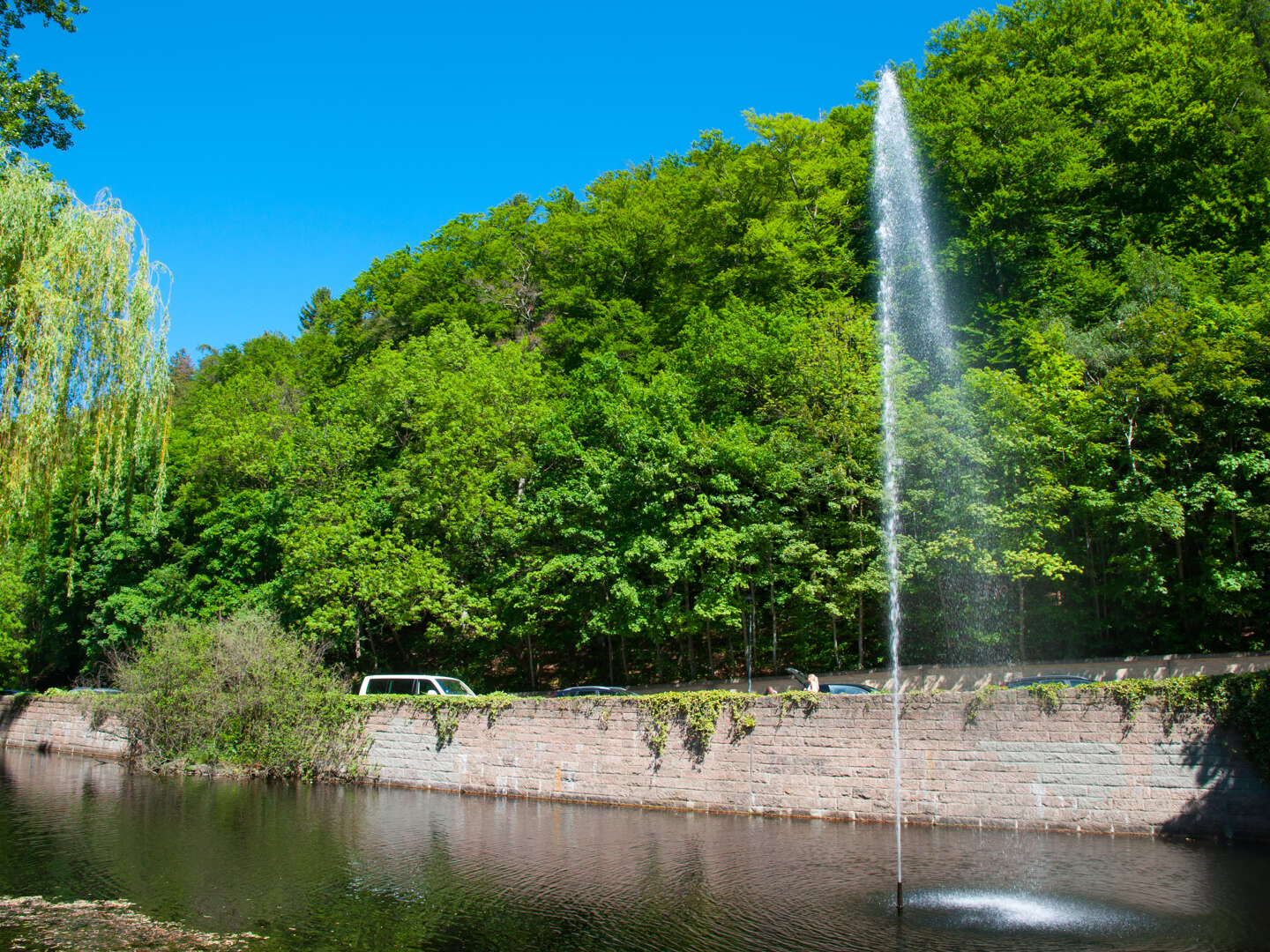 Romantische Tage in Bad Harzburg für 8 Tage