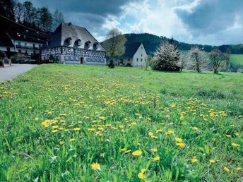 Bild 16 von 18