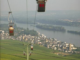 Bild 19 von 22