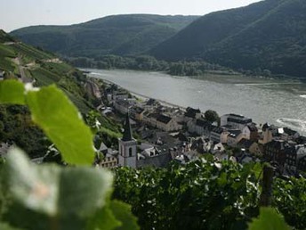 Bild 22 von 22