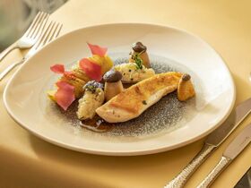 Dresdner-Wellness neben der Frauenkirche | 3 Tage