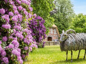 3 Wellness Tages inkl. Tages SPA in der Soltau Therme