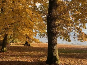 Happy Hours am Bodensee