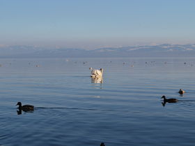 Happy Hours am Bodensee
