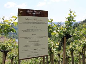 Verliebt, Verlobt, Verheiratet - oder 