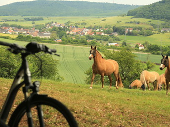 Bild 21 von 30