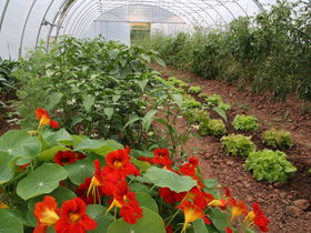 Landidyll Genuss Momente in der Pfalz inkl. 5-Gang & Pfalz Card