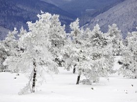 Silvester in Willingen im Sauerland