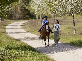 Winterferien im Ferienhaus inkl.  Spaßbad
