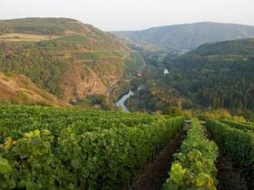 5 Feinschmeckertage für Genießer 2025 HS