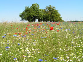 Kleine Auszeit auf Rügen im Winter