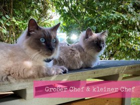 Romantische Auszeit in Regensburg- 2 Tage