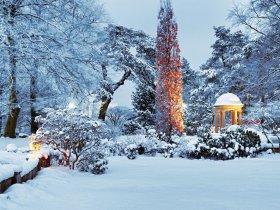 Sonntagssparen 4=3  winterliche Ostseeinsel Usedom
