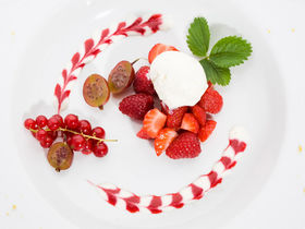 3 Tage Radelspaß in Kehl am Rhein