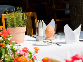 3 Tage Radelspaß in Kehl am Rhein