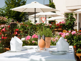 3 Tage Radelspaß in Kehl am Rhein