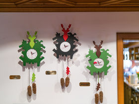 3 Tage Radelspaß in Kehl am Rhein