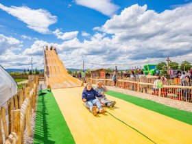 Familien- Erdbeerzauber- 3 Tage im Harz - Kinder bis 12 Jahre reisen gratis!