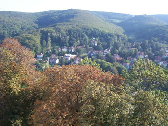 Langzeiturlaub im Harz (5=4)  