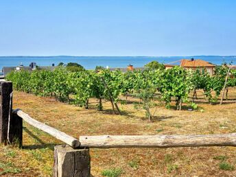 Frühling auf der Insel Usedom im 2-Raum-Appartement inklusive Frühstücksbuffet (5Ü.)