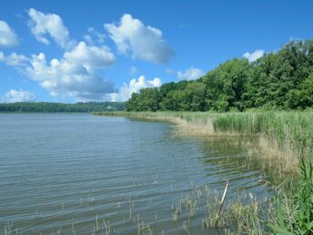 Frühling auf der Insel Usedom im 2-Raum-Appartement inklusive Frühstücksbuffet (5Ü.)