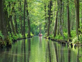 Kurzurlaub in Cottbus: das Tor zum Spreewald | 3 Tage