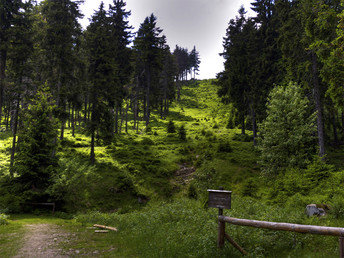 Bild 22 von 26