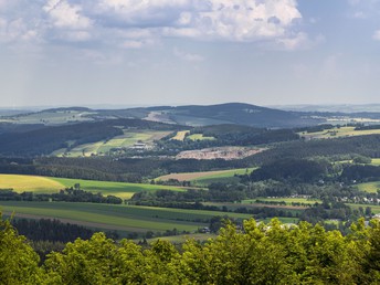 Bild 16 von 19