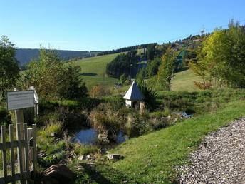Bild 12 von 19