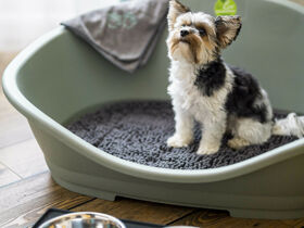 4 für  3 - Lübecks Altstadt und Mee(h)r