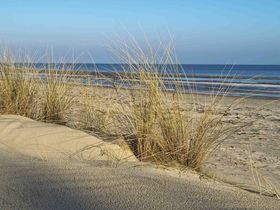 Weihnachten am Meer mit Abendessen auf Usedom inkl. Wellness