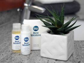 Weihnachten in der Domstadt Merseburg