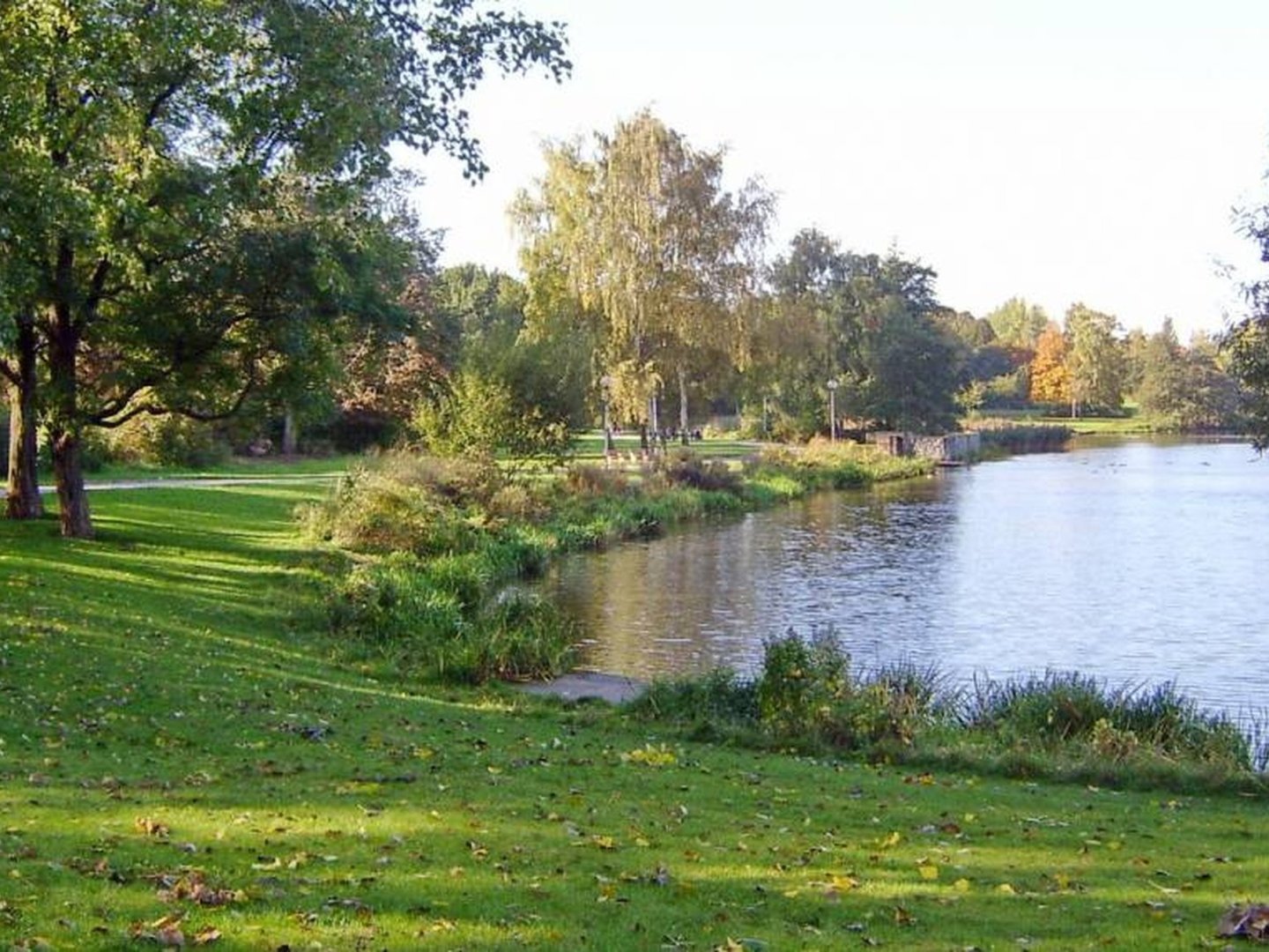 Erholung pur - Rostock und der idyllische Schwanenteich