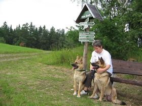 Wandern im Thüringer Wald