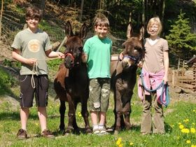 Wandern im Thüringer Wald