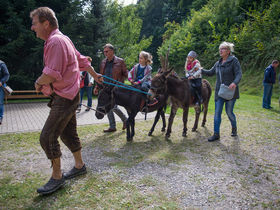 Wandern im Thüringer Wald