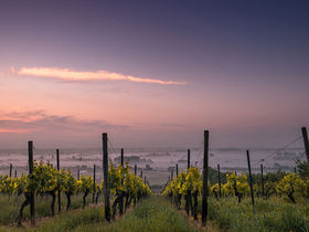 5 Tage Silvester in der Pfalz