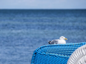 Ostertage am Ostseestrand | 4 Tage